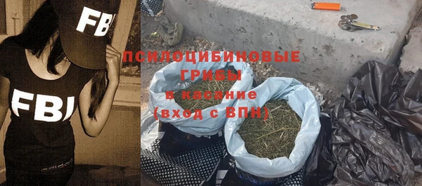 ГАЛЛЮЦИНОГЕННЫЕ ГРИБЫ Зеленокумск