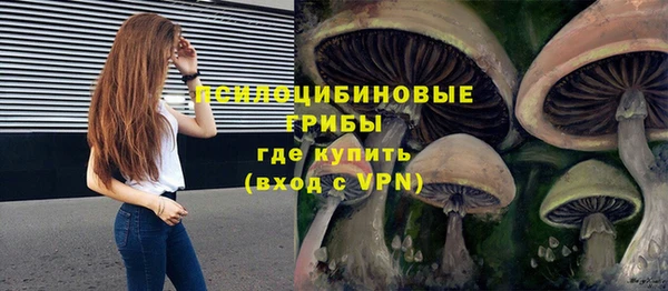 гидропоника Зеленодольск