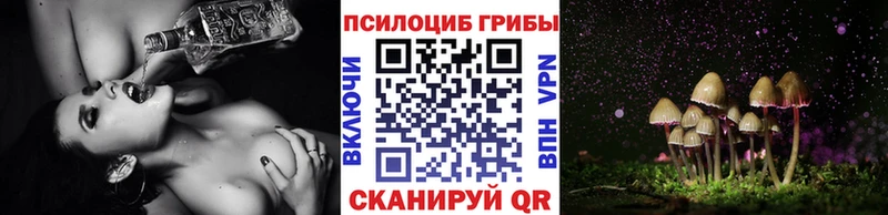 Галлюциногенные грибы мицелий  Купить  Саянск 